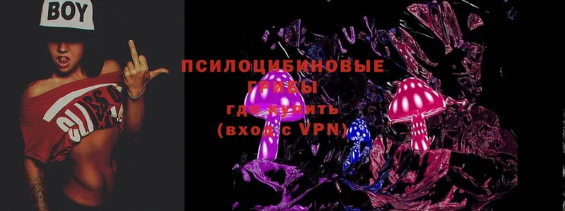 Галлюциногенные грибы Psilocybine cubensis  Павлово 